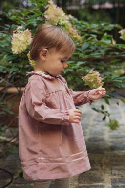 Manon velvet baby dress